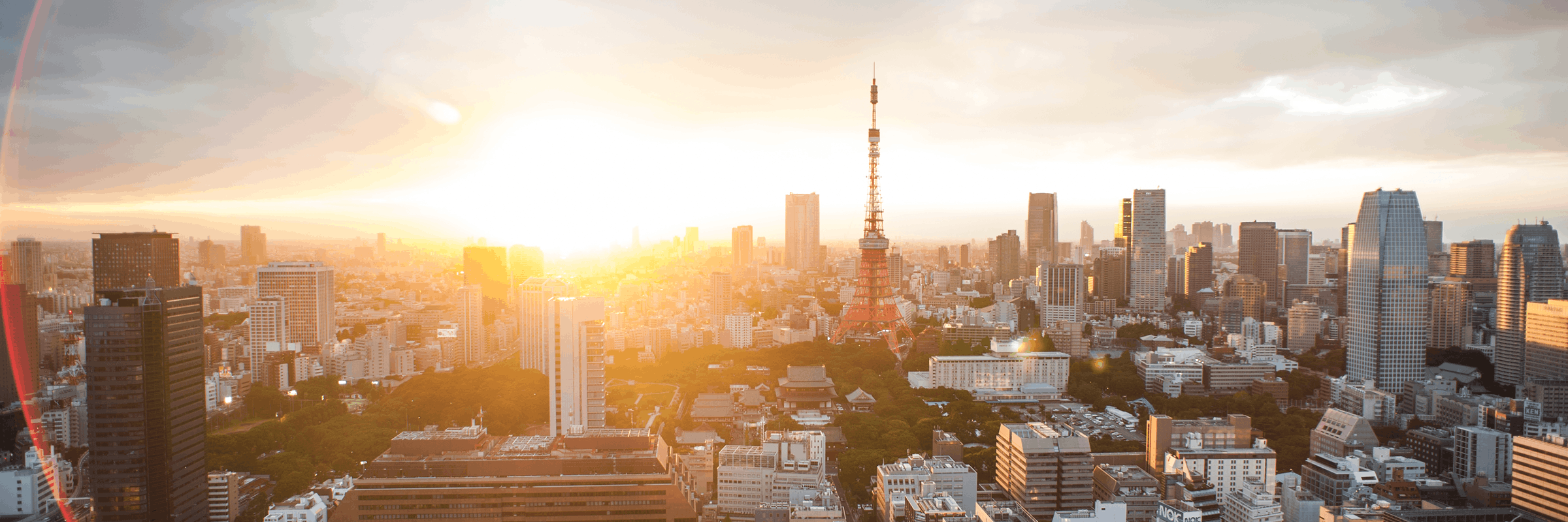 Build a Strong and Resilient Organization